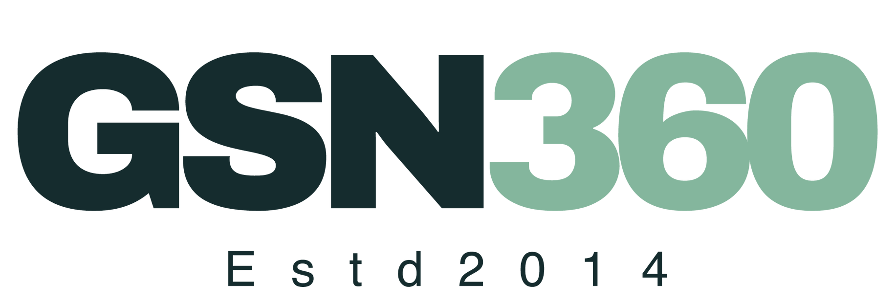  GSN360 company logo