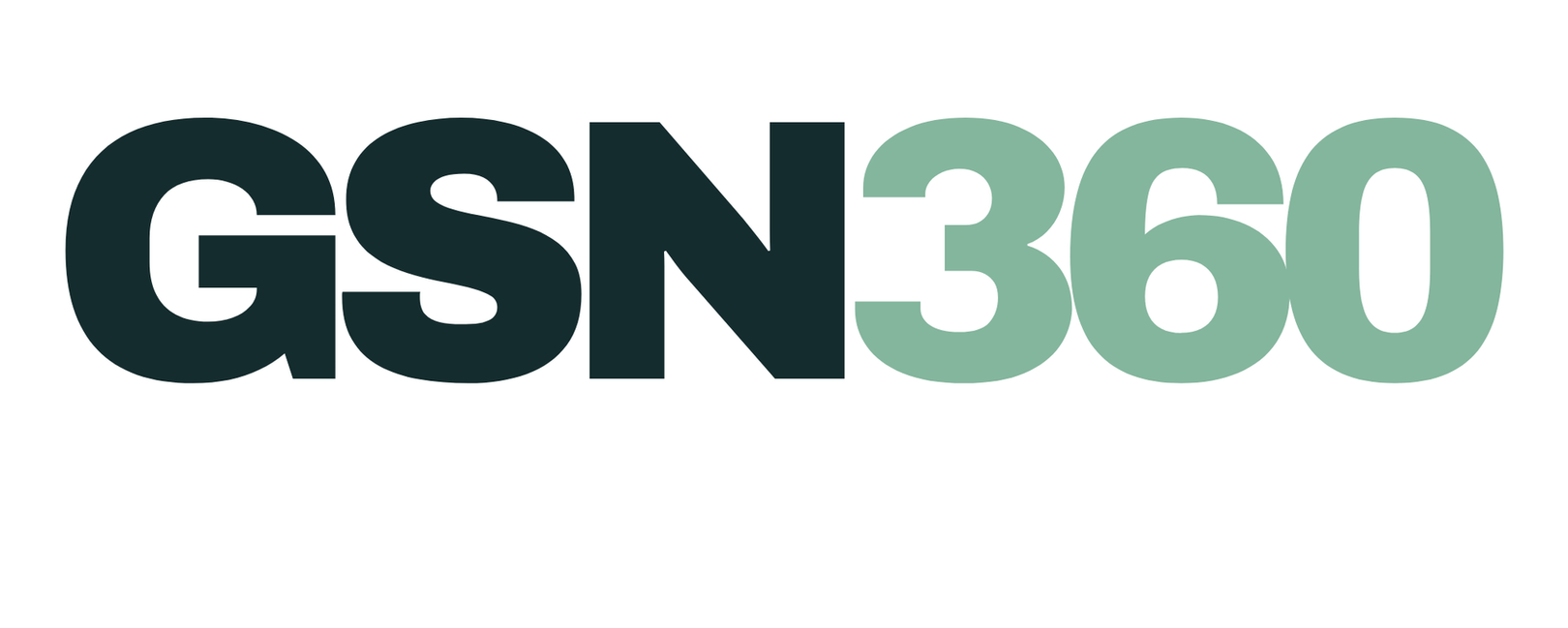 GSN360 company logo