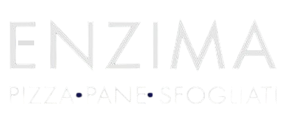 Enzima logo