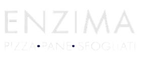 Enzima logo