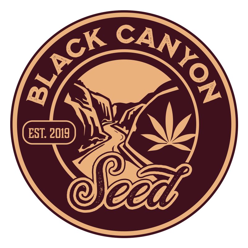 Black Canyon Seed Logo
