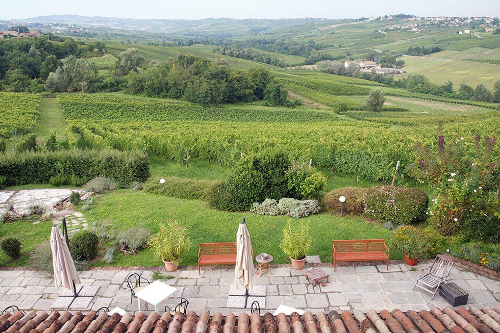 Hillside vineyard view from a rustic terrace with benches and potted plants.