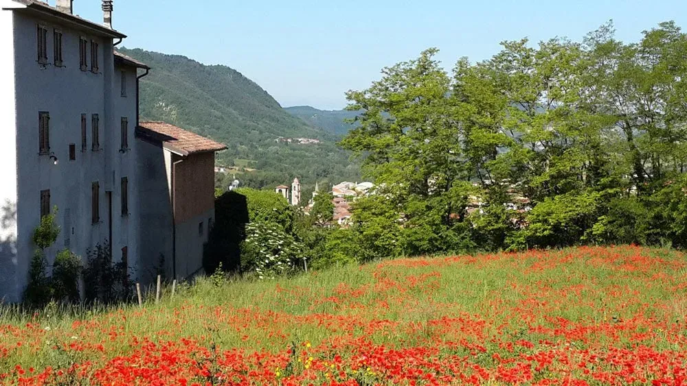 Vineyard visits and tastings, likely in the Piedmont or Emilia-Romagna regions.