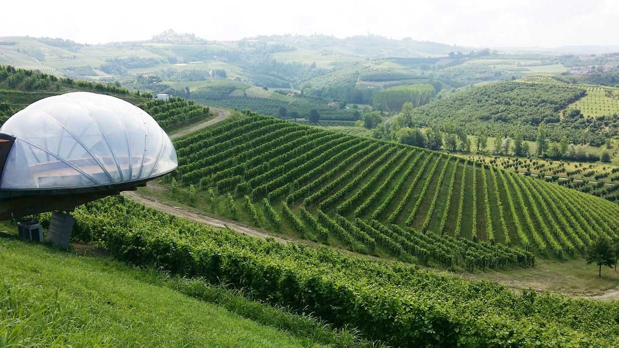 Rows of grapevines stretch across rolling hills, with a modern, dome-like structure on the slope.