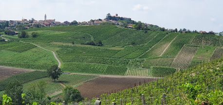 A view of a lush green hillside with a castle in the background.