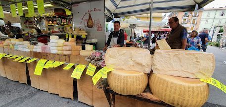 A man is standing behind a display of cheese at a market.