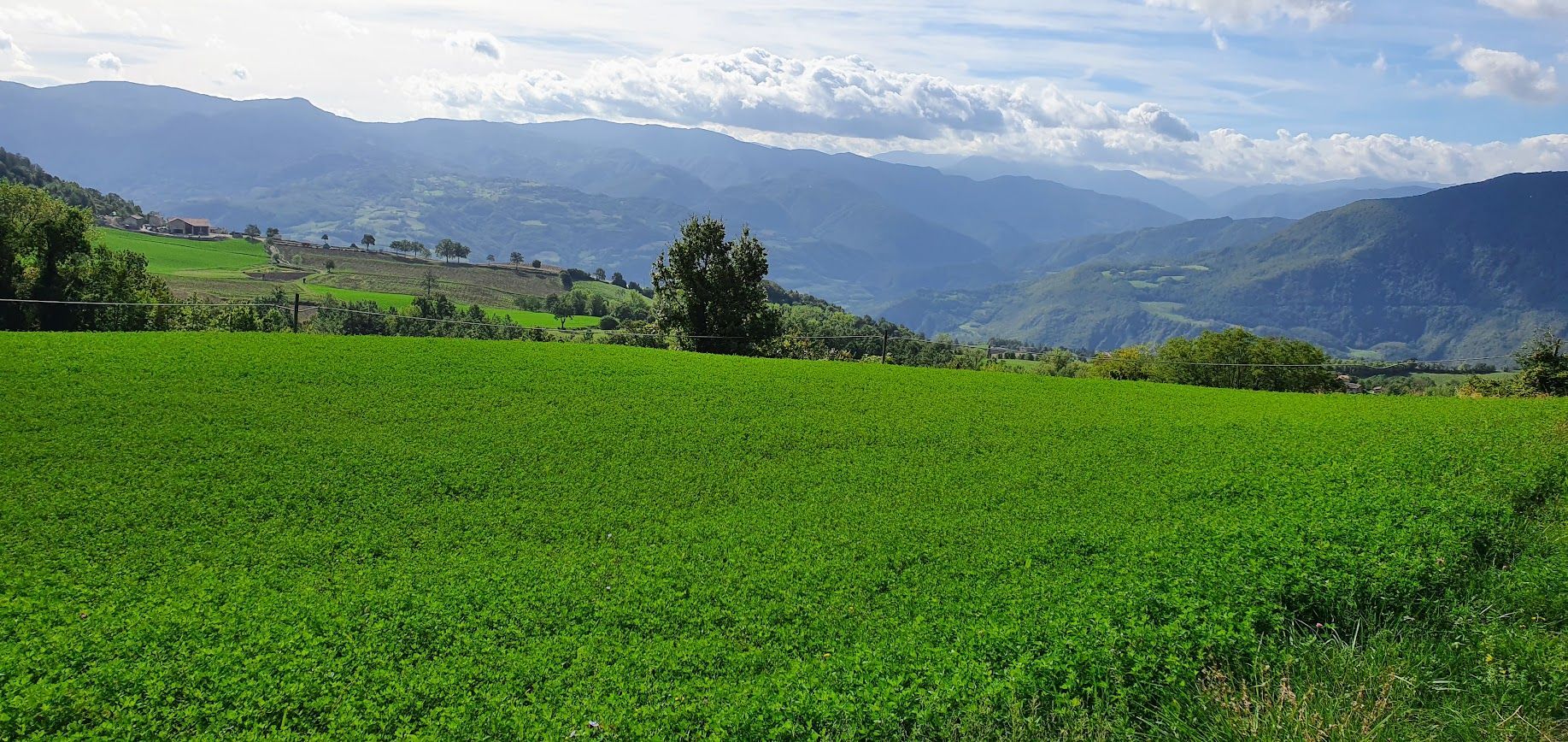 Wide panoramic view of a vibrant green field with distant rolling hills and mountains under a clear sky.