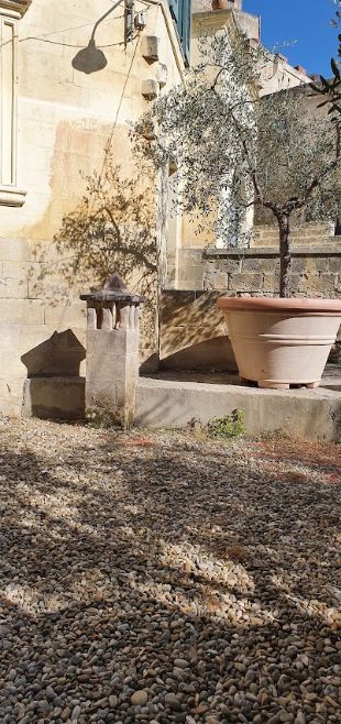A large potted plant is sitting in front of a building.