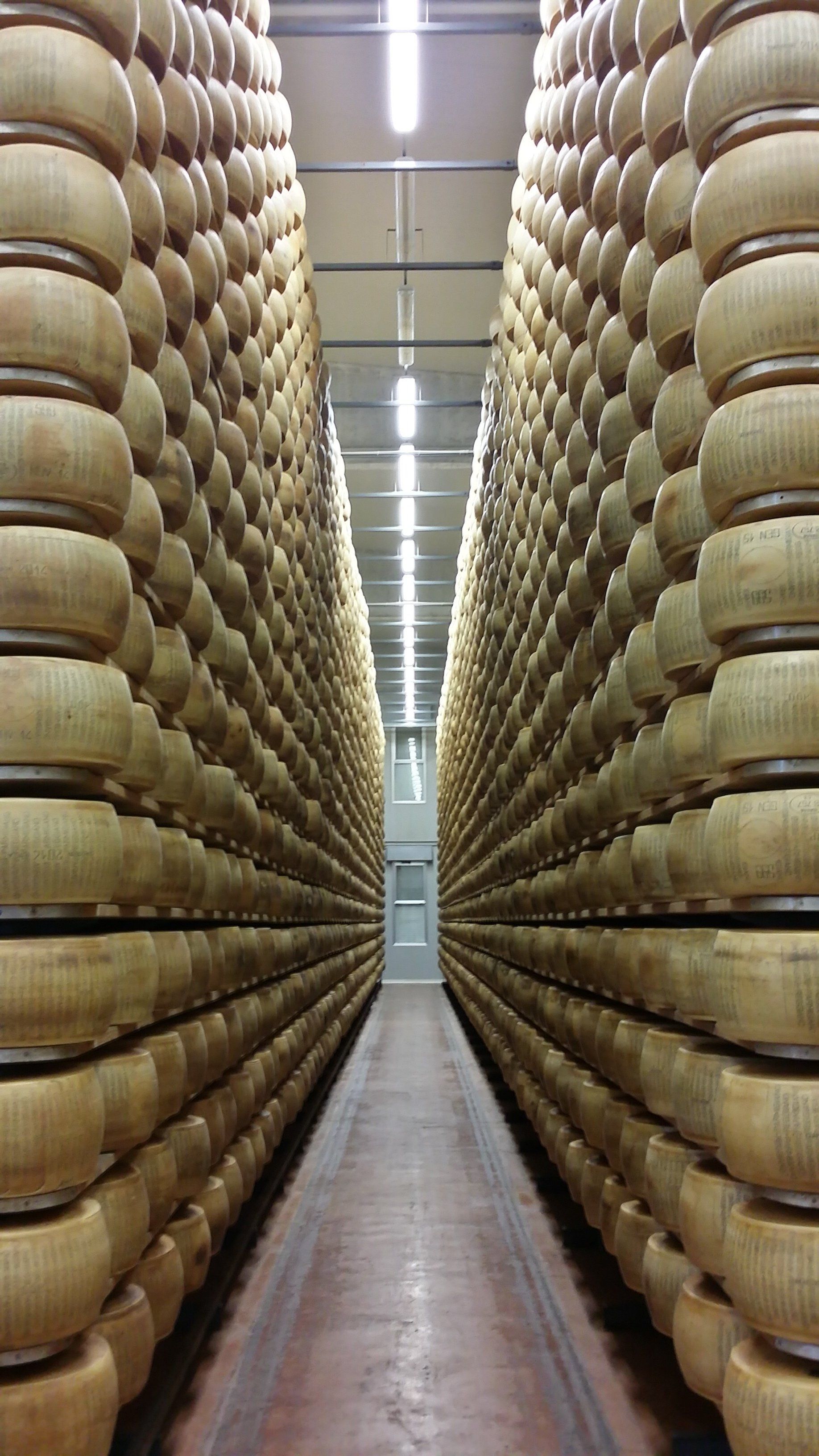 Gourmet Delight: Boar's Head Parmigiano Reggiano, The King Of Cheeses