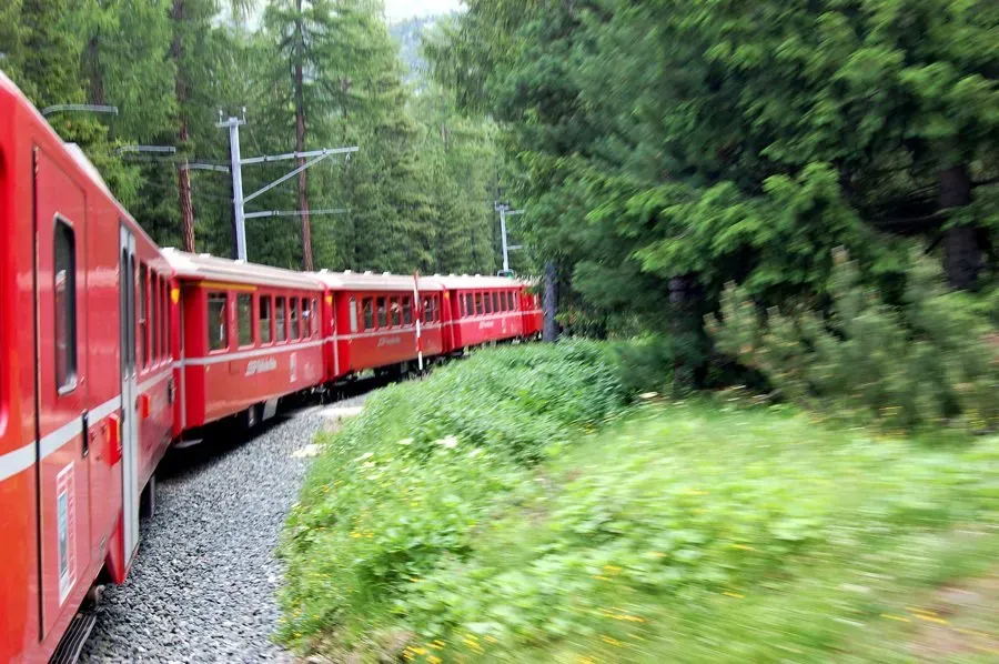 Red train winding through the forest.
