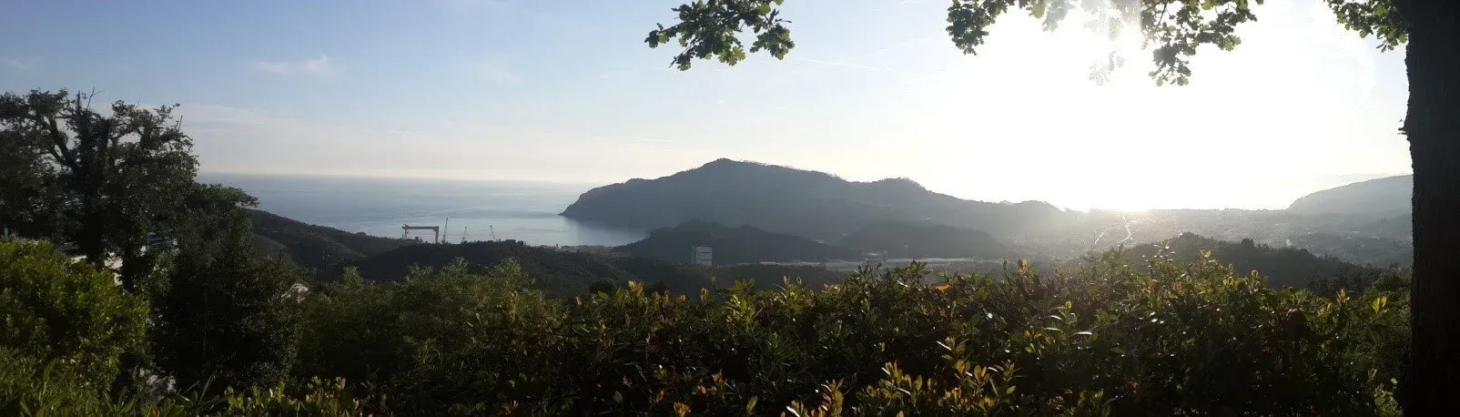 Panoramic coastal view with hills, greenery, and a distant shipyard at sunrise or sunset.