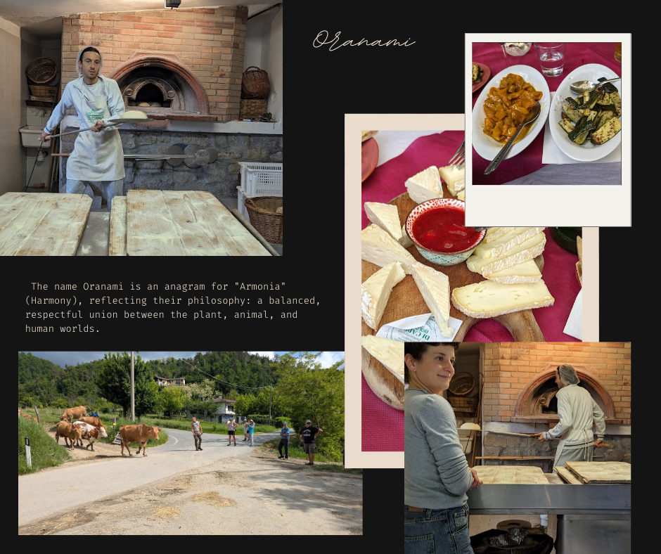 A christmas card that says buon natale and felice anno nuovo