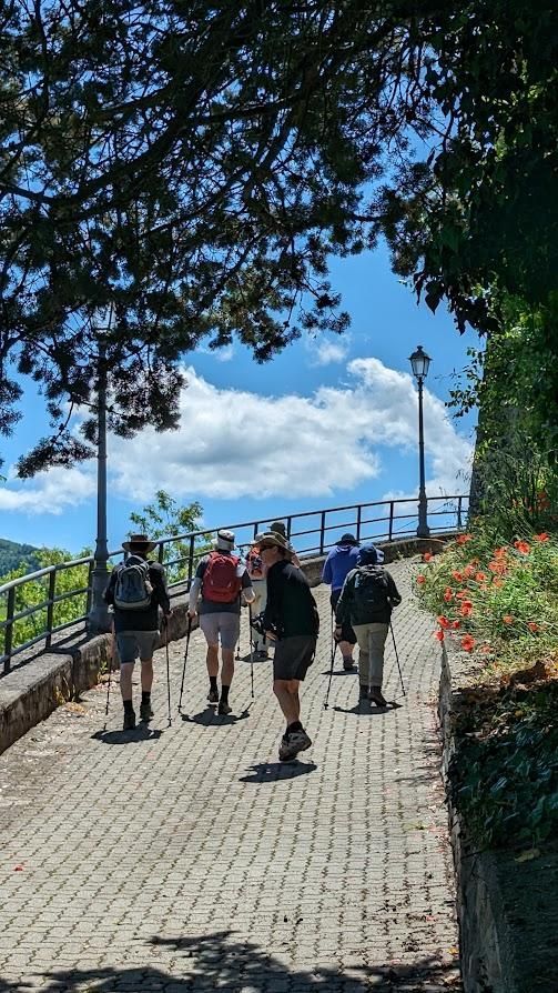 A group of people are walking down a brick path.