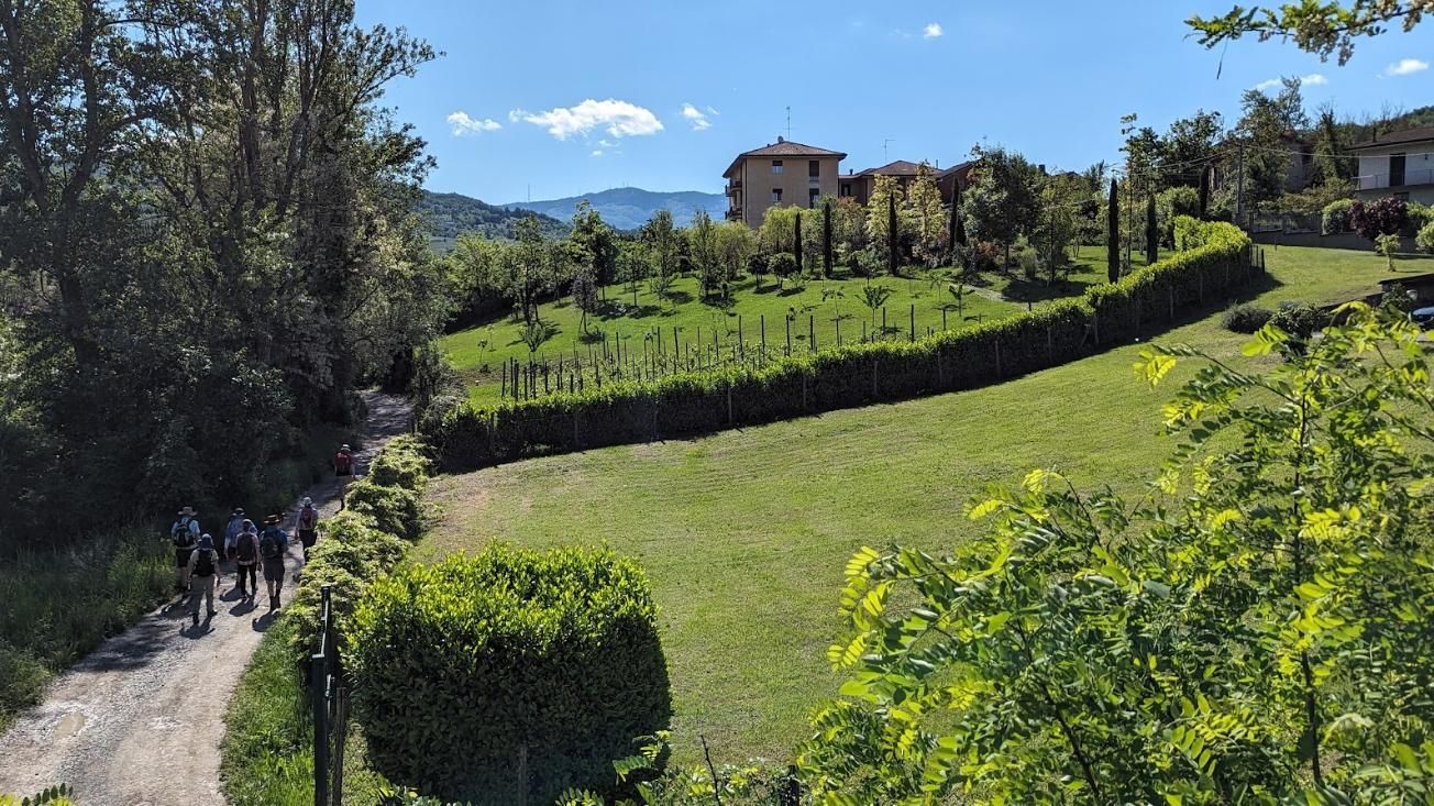 A group of people are walking down a dirt road.