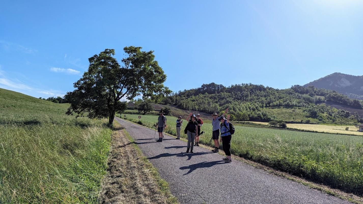 A group of people are walking down a dirt road.