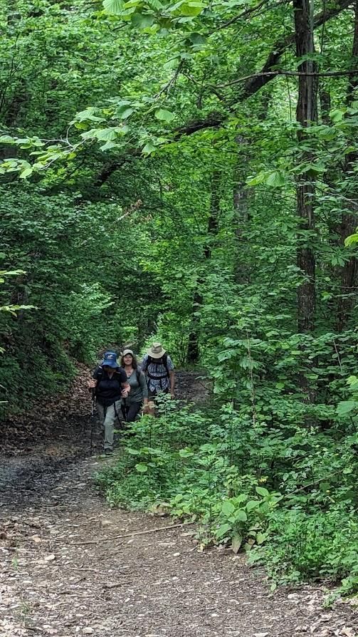 A group of people are walking down a path in the woods.