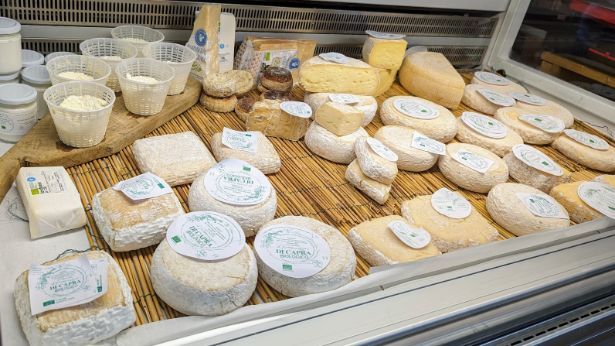 A display case filled with lots of different types of cheese.
