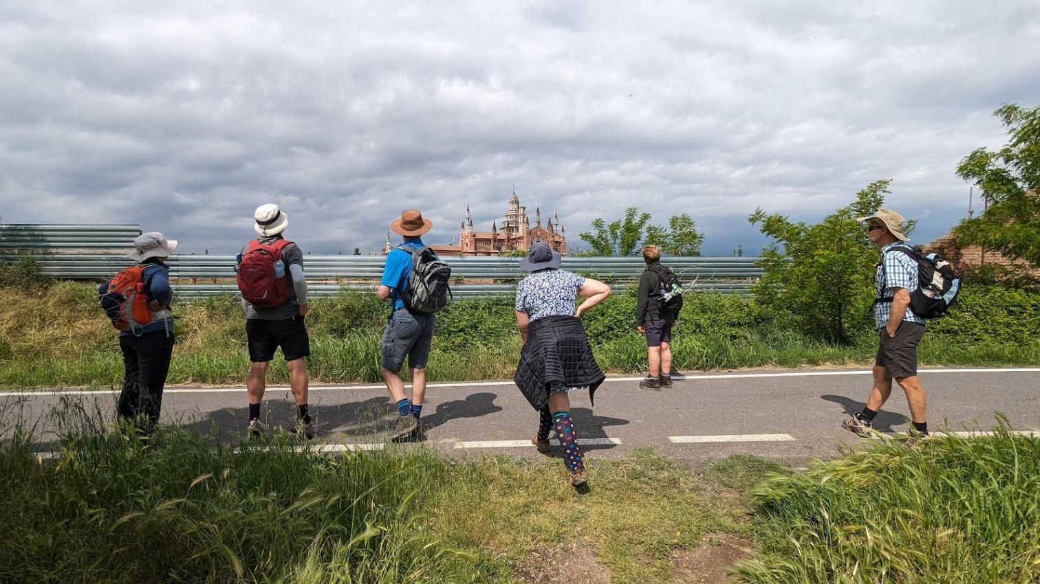 A group of people are standing on the side of a road looking at something.