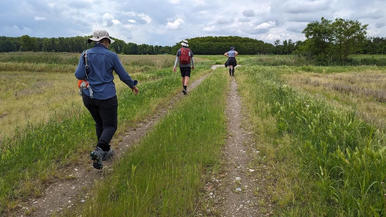 A group of people are walking down a dirt path in a field.