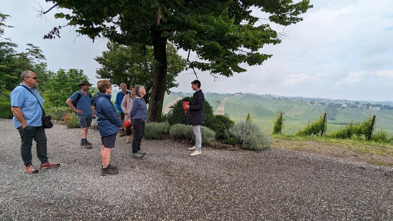A group of people are standing under a tree in a gravel area.