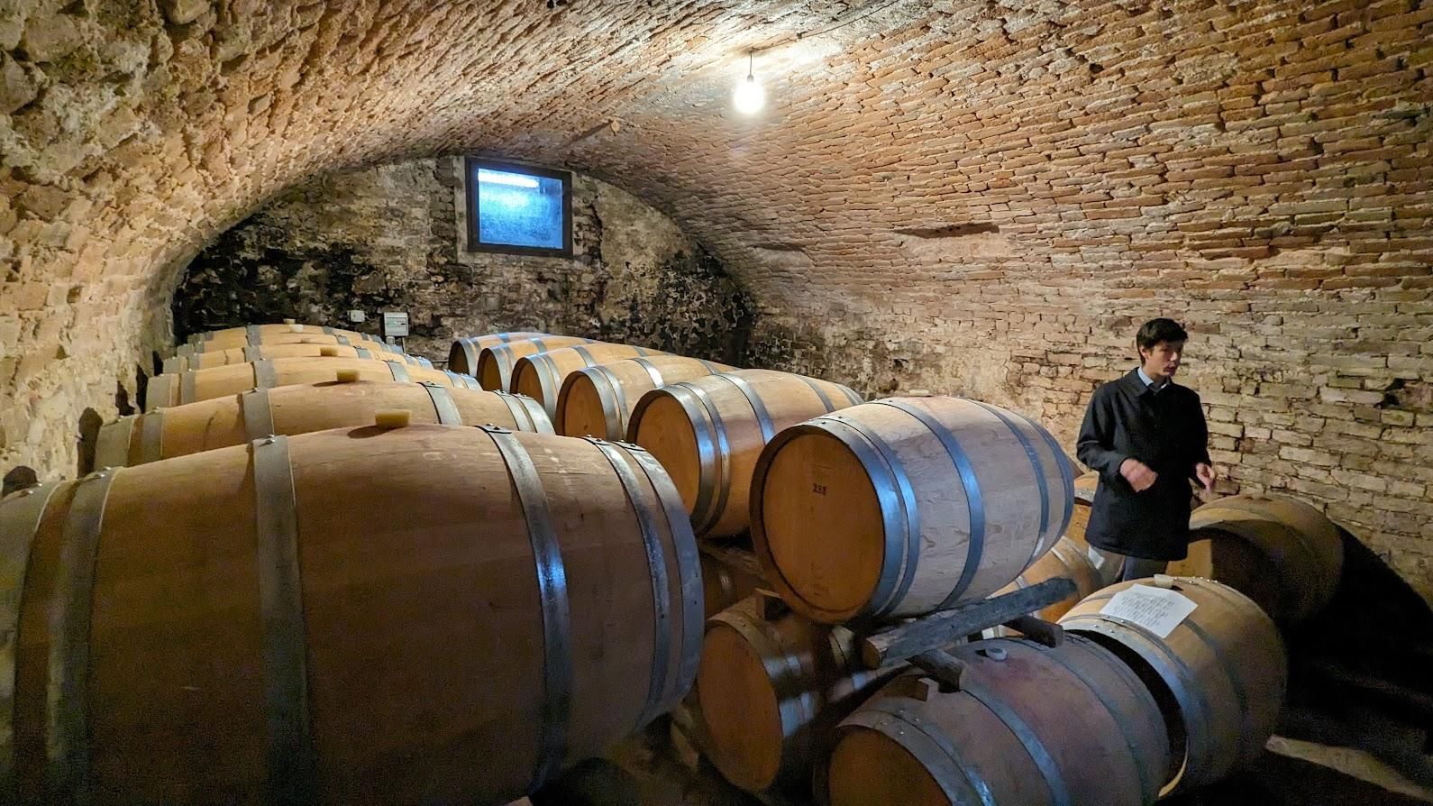 A man is standing next to a row of wooden barrels in a wine cellar.