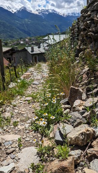 A dirt road with a stone wall and mountains in the background.
