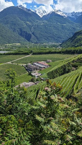 A view of a valley with mountains in the background.