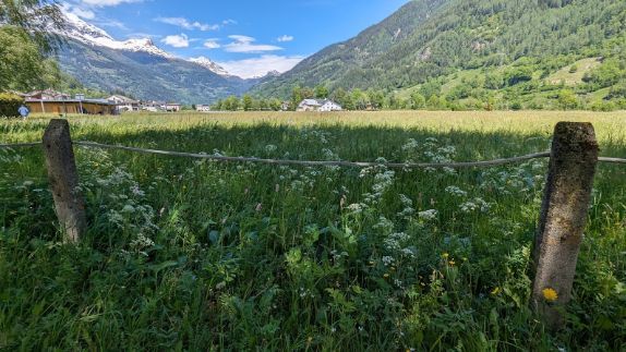 A wooden fence surrounds a grassy field with mountains in the background.
