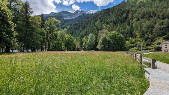 There is a path going through a grassy field with mountains in the background.