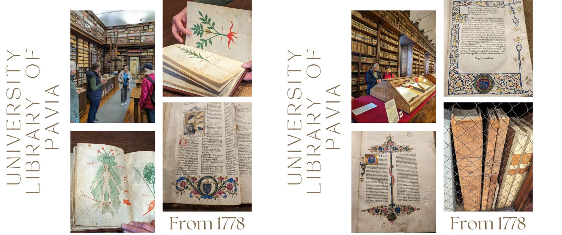 Visitors exploring rare books, botanical illustrations, and illuminated texts at the University Library of Pavia