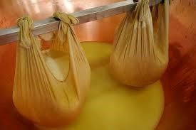 Cheese curds draining in cloth bags over a copper vat filled with whey during the cheesemaking process.