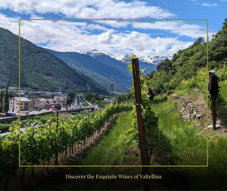A christmas card that says buon natale and felice anno nuovo