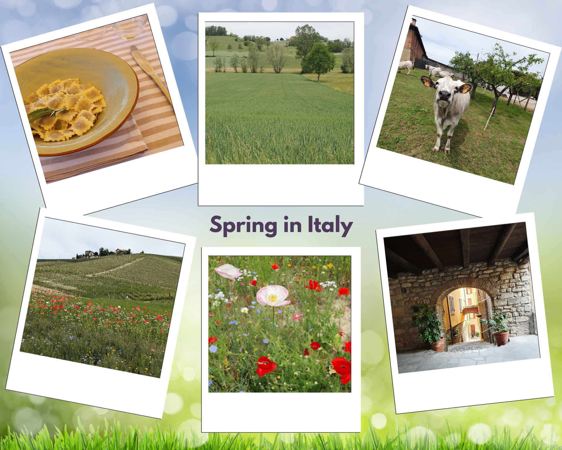 Pasta on a plate, green fields, a cow, wildflowers, and a stone entryway.