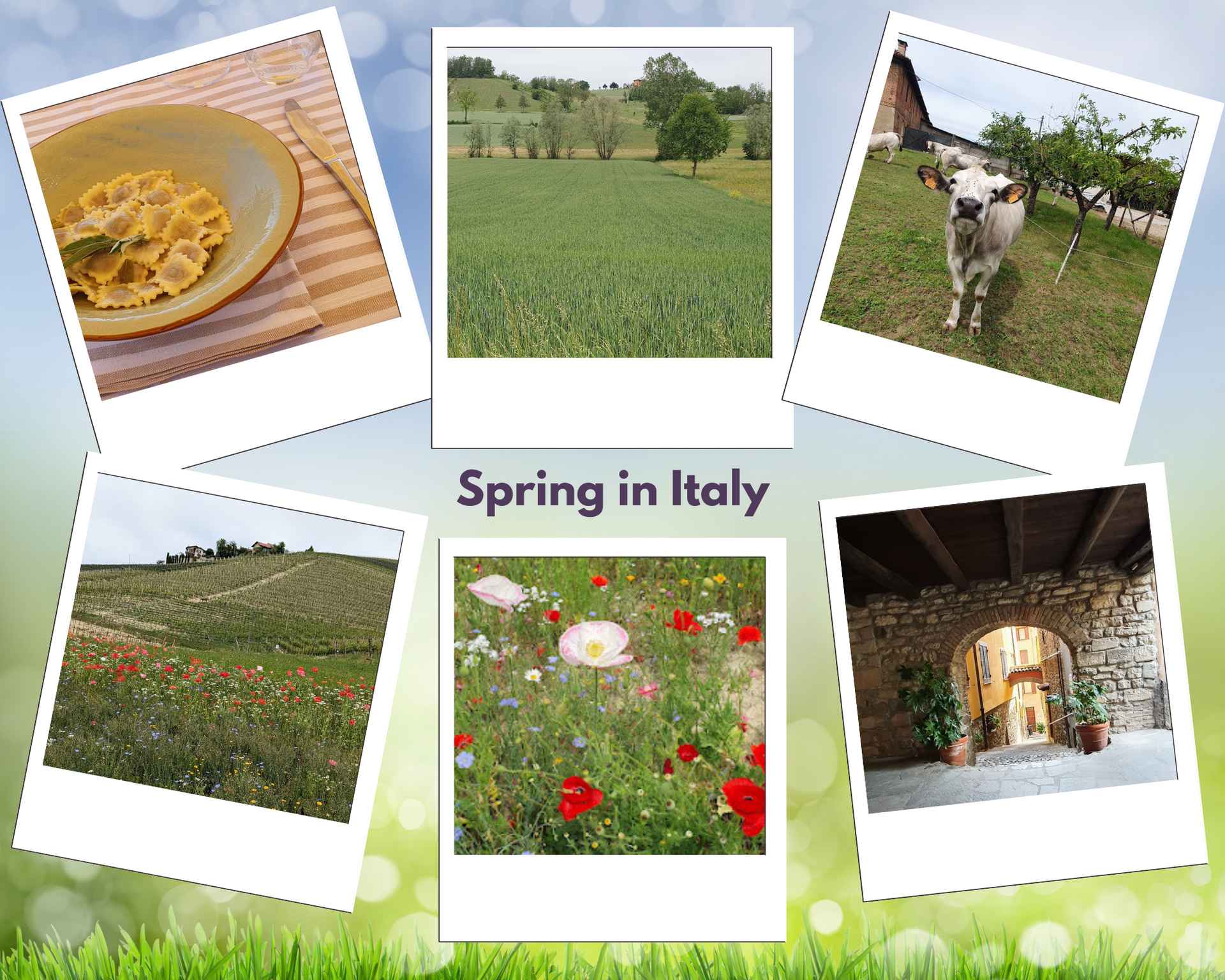 Spring in Northern Italy with Tours and Delights
