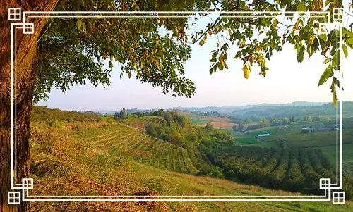 Rolling vineyard landscape with lush green fields, distant hills, and a tree framing the scene under a golden sky.