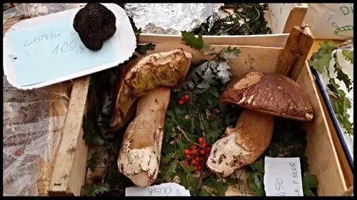 Fresh porcini mushrooms and a black truffle displayed in a wooden crate with leaves, berries, and handwritten price tags.