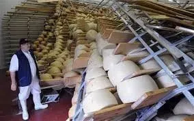 A collapsed cheese storage rack with dozens of fallen wheels of cheese and a worker assessing the damage.