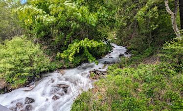 A small waterfall in the middle of a forest surrounded by trees.