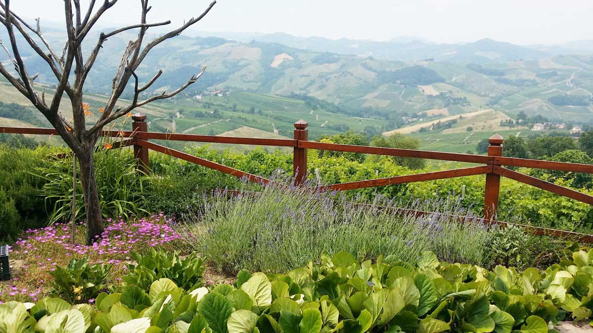 A wooden fence surrounds a garden with flowers and mountains in the background.