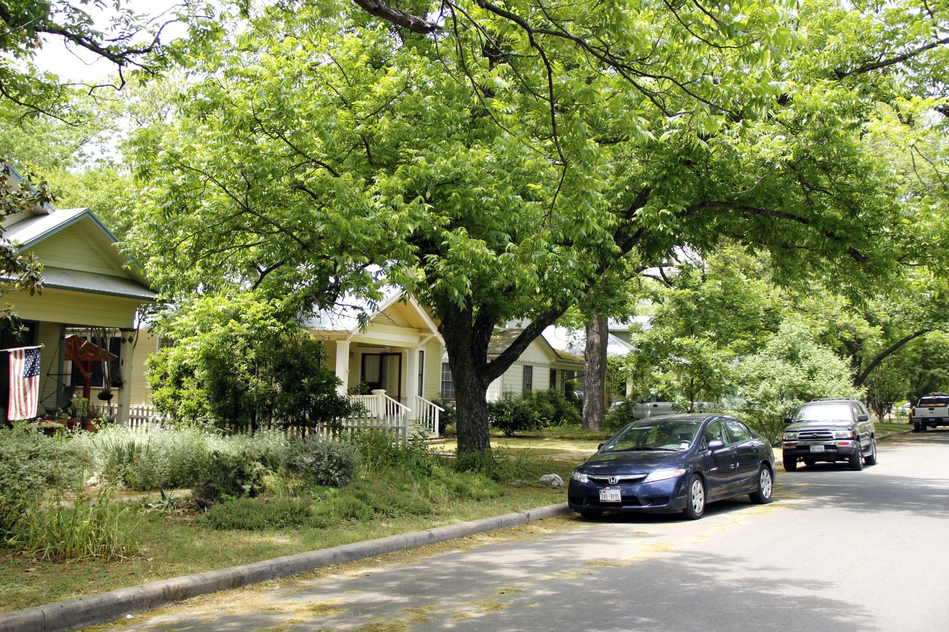 Hyde Park neighborhood