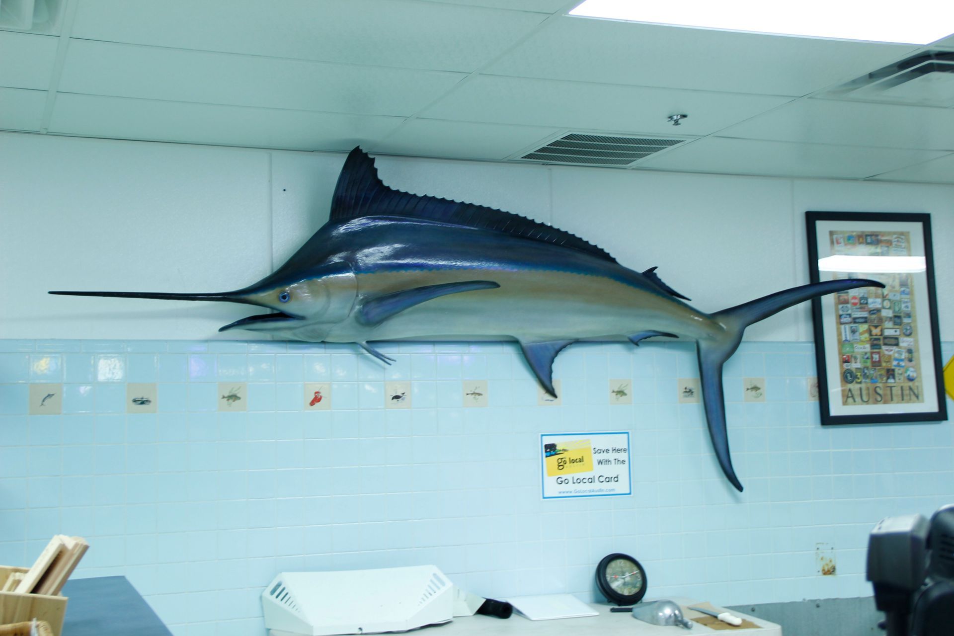Fish on wall