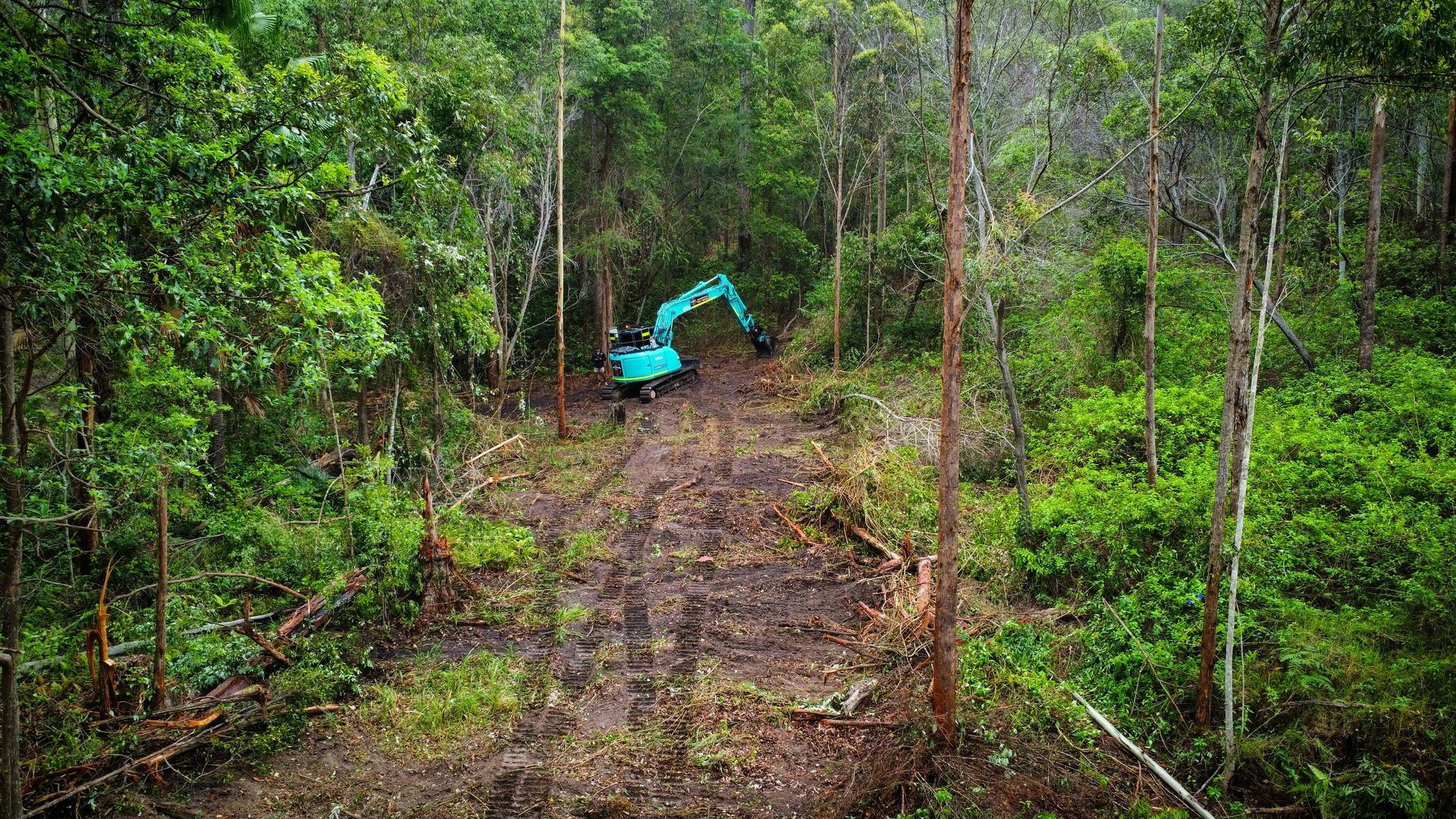 Land clearing, vegetation, and large tree management