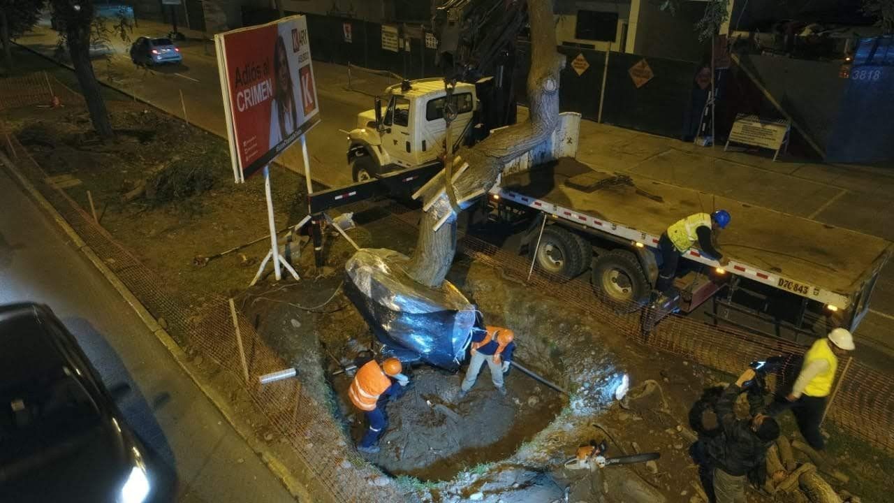 Montacargas y grúas Álvaro