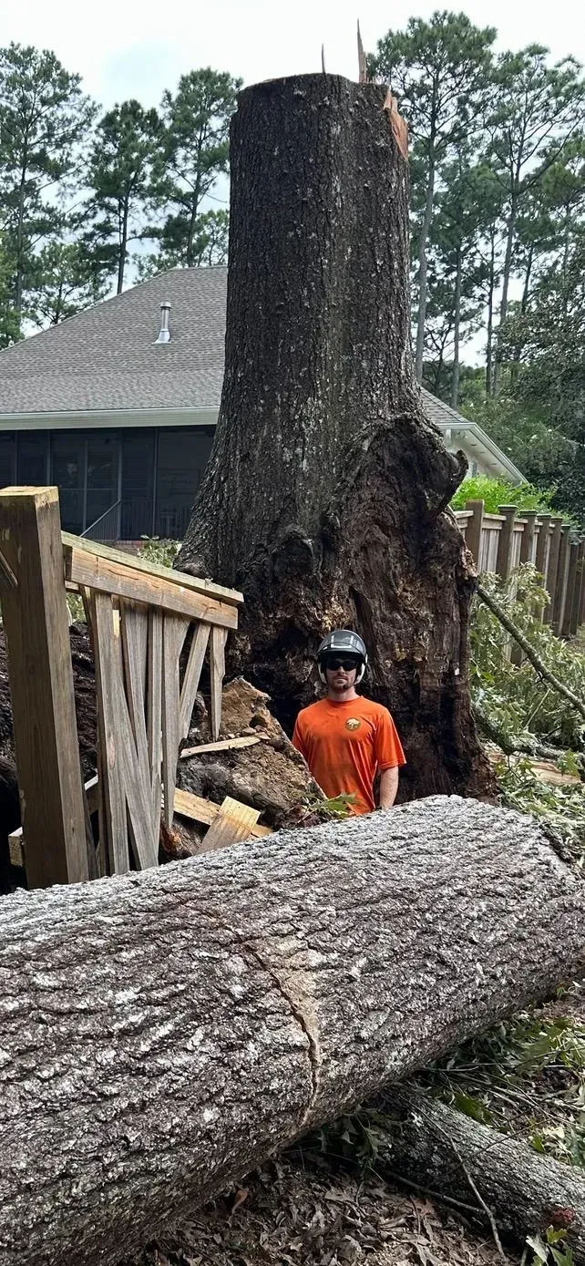 Person in orange shirt stands near a cut tree stump and fallen log, by a fence and a house.