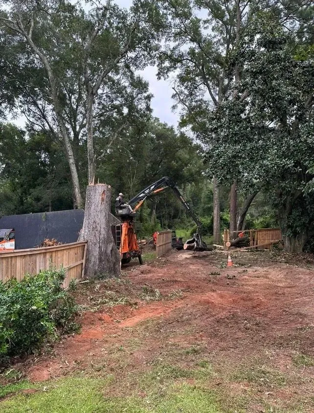 Tree removal: A stump and machinery in a residential yard. A large tree is being cut down near a fence.