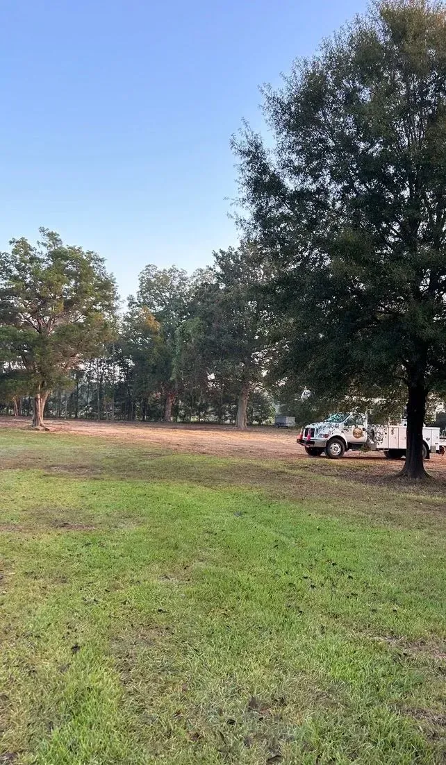 Grassy field with trees in the background, a white truck parked on the right side under a large tree, clear sky.