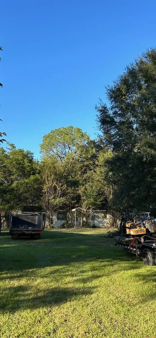 Lush green yard with trees, blue sky, and a house. Construction vehicles parked.