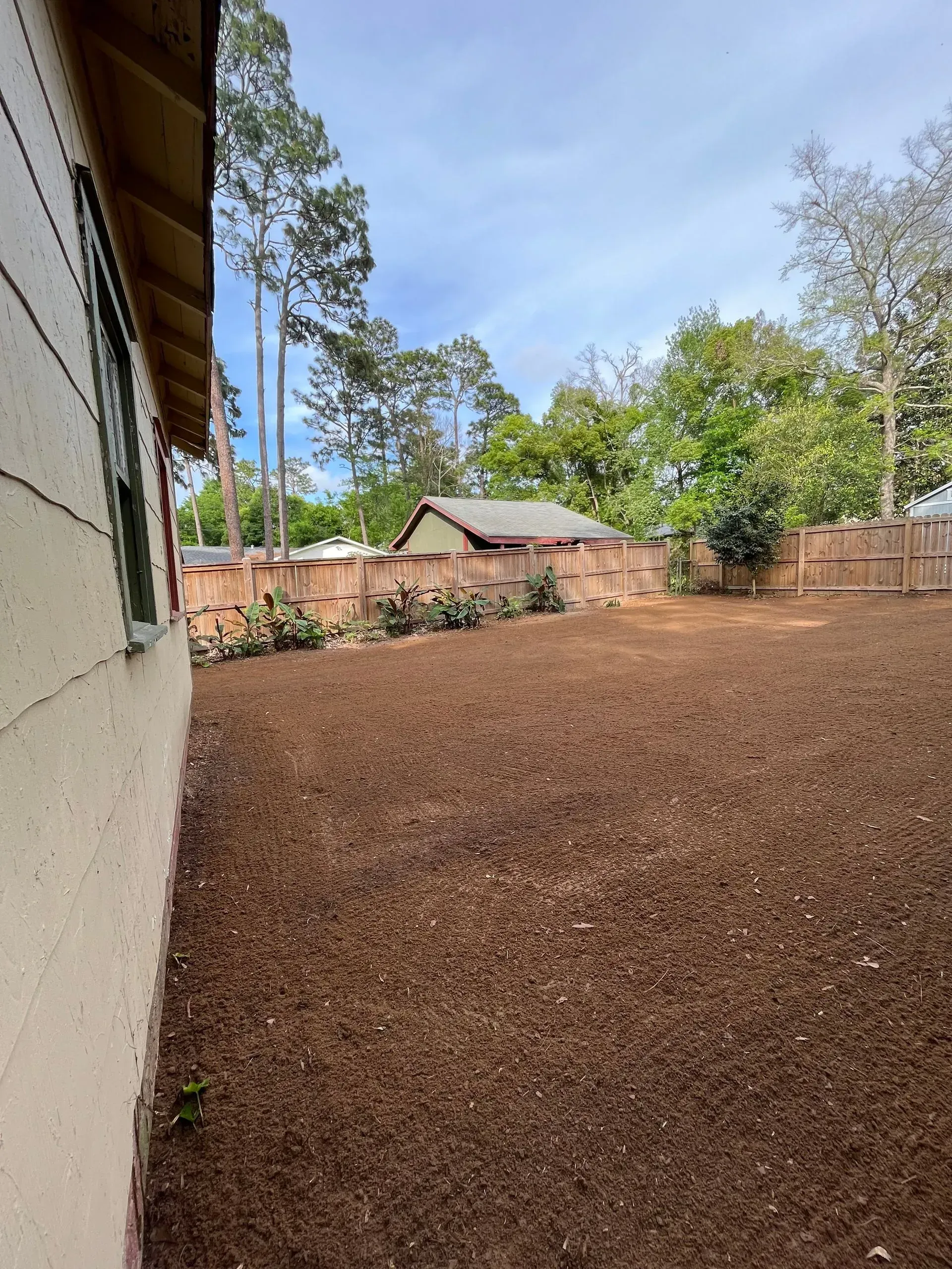 A backyard with freshly laid mulch, bordered by a fence and a house; trees in the background.
