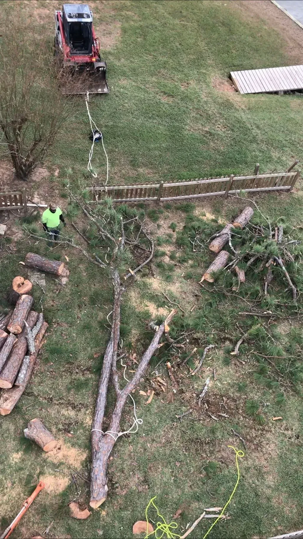 Tree removal: worker in green shirt cutting a tree, logs, red tractor, fence, and a grassy area.
