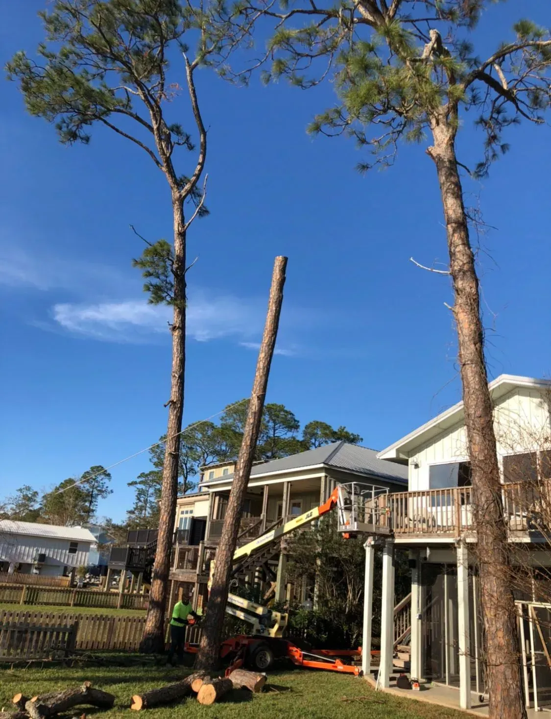 Tree being cut down near a house, blue sky. A person operates a lift. Chopped logs lie on the ground.